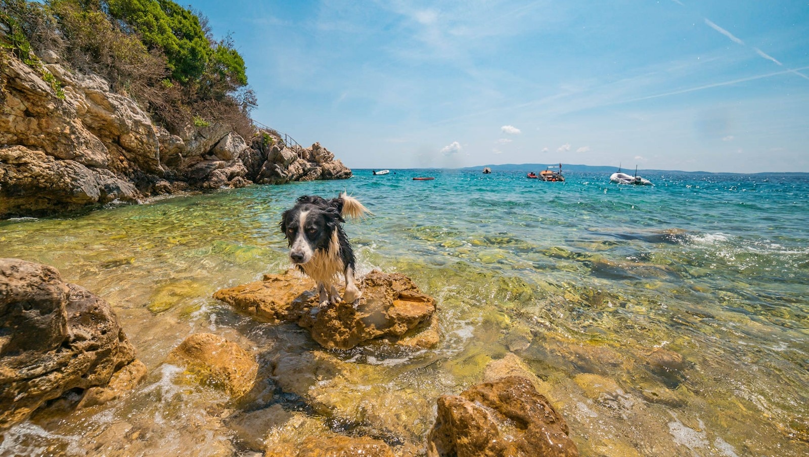 Campingurlaub mit Hund in Losinj Campingplatz Cikat