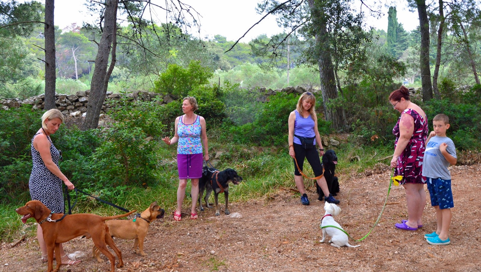 Campingurlaub mit Hund in Losinj Campingplatz Cikat