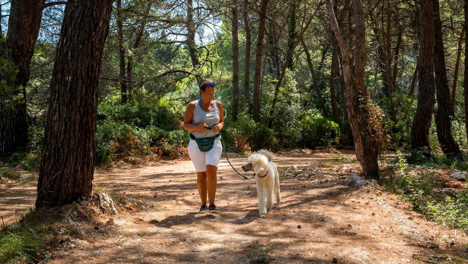 Campingurlaub mit Hund in Losinj Campingplatz Cikat