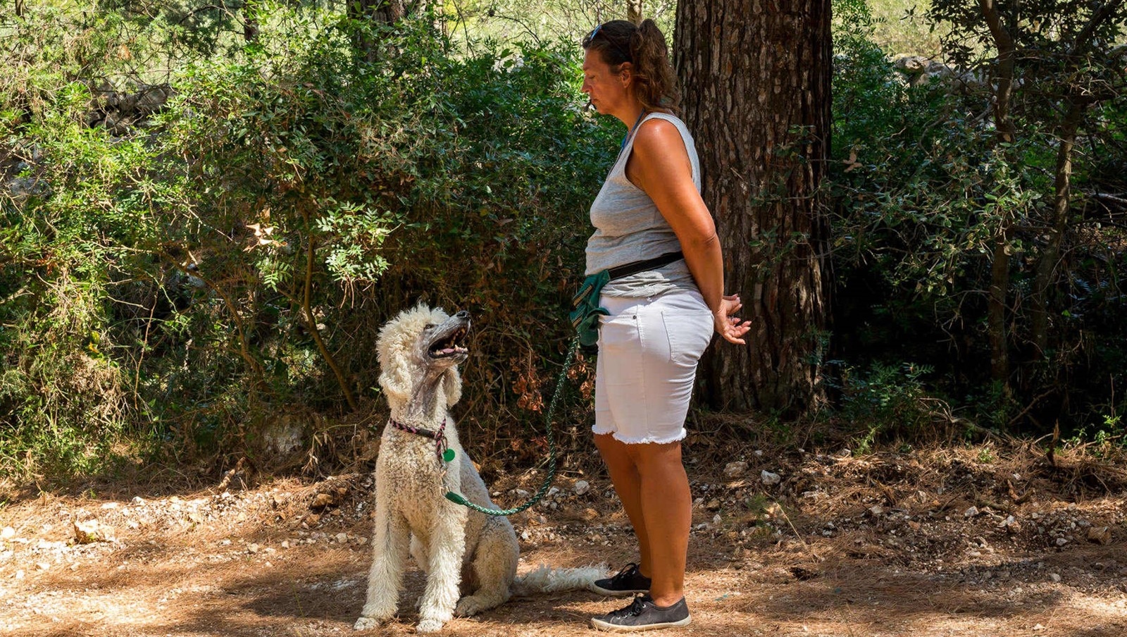 Campingurlaub mit Hund in Losinj Campingplatz Cikat